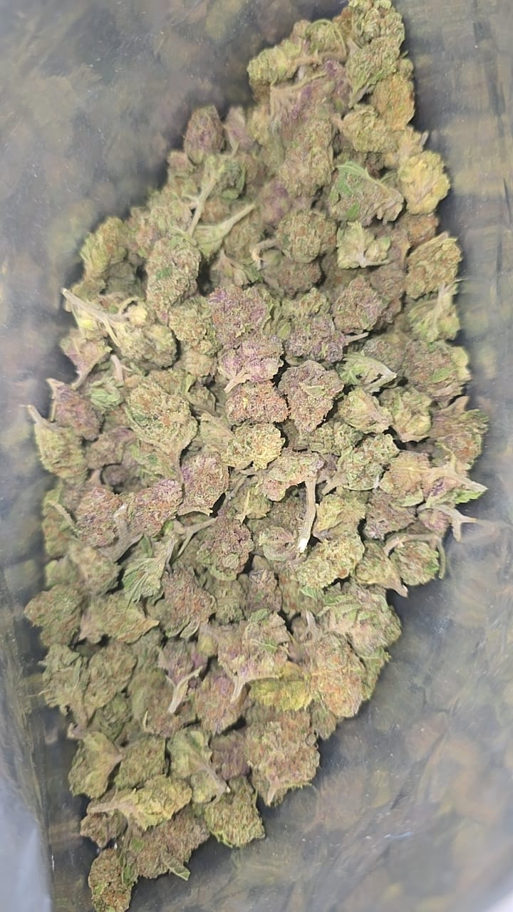 Customer photo review of Cheap THCA Smalls Quarter Pound
