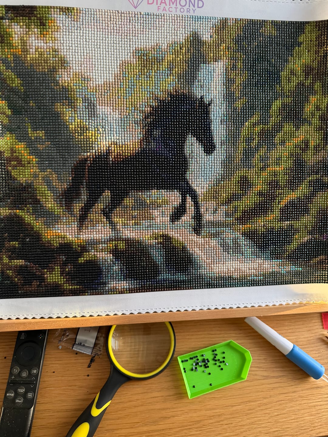 Customer photo review of Black Stallion