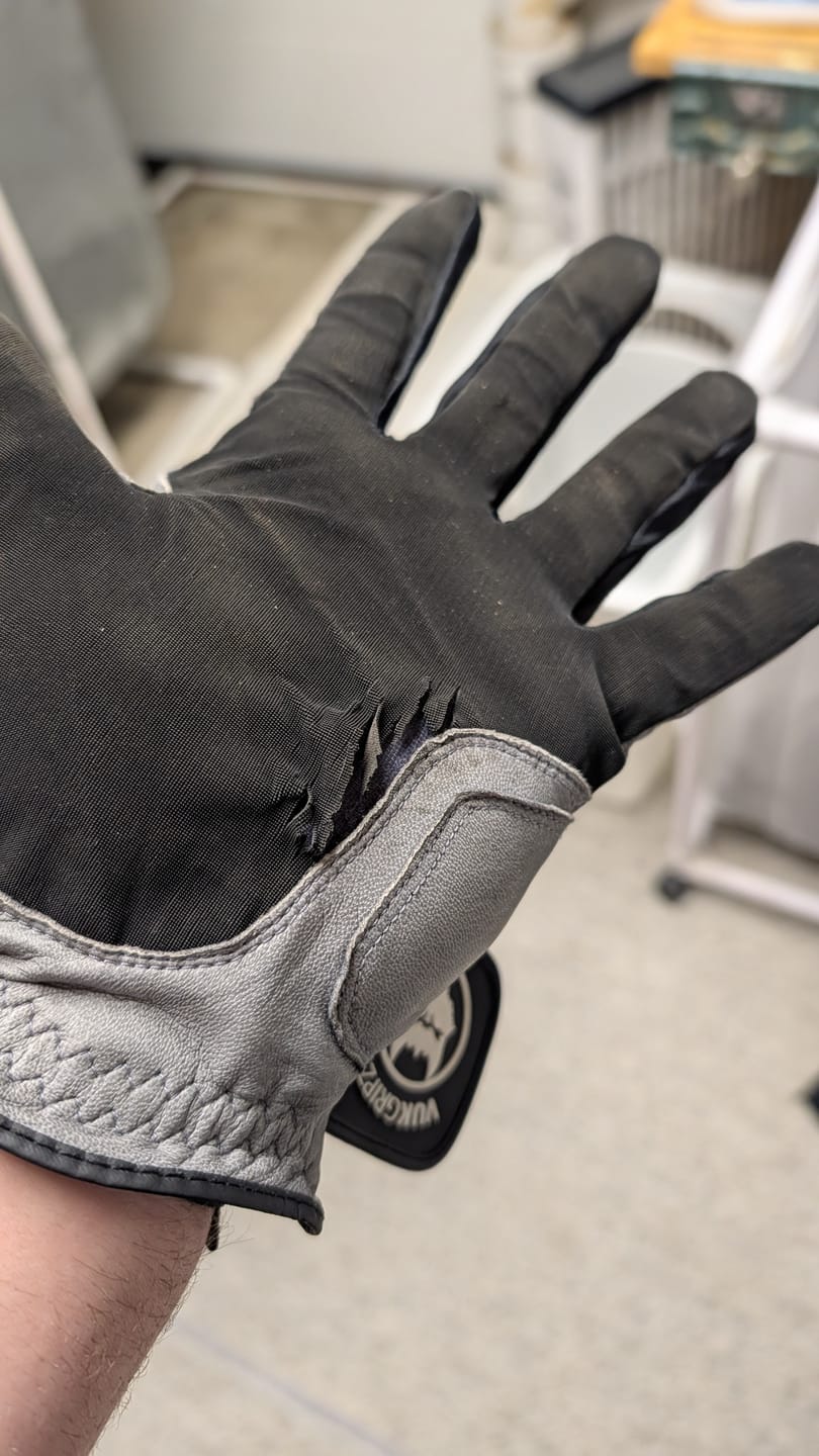 Customer photo review of The Condor Gray Golf Glove