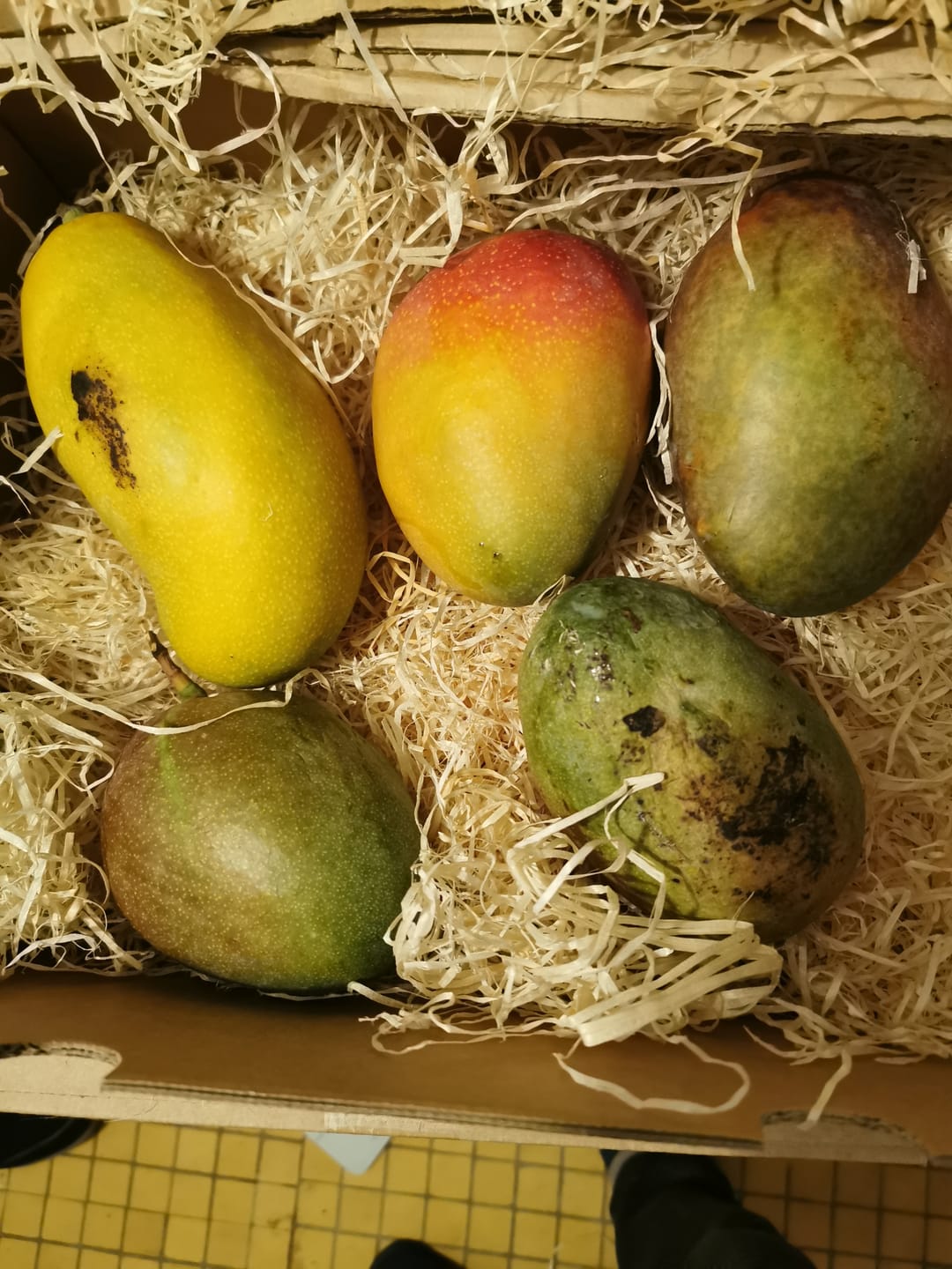 Customer photo review of Mango Mix von Juan 3kg Sonderaktion %