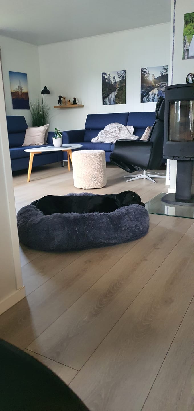 Customer photo review of CalmBed - Motvirker stress & hjelper mot angst