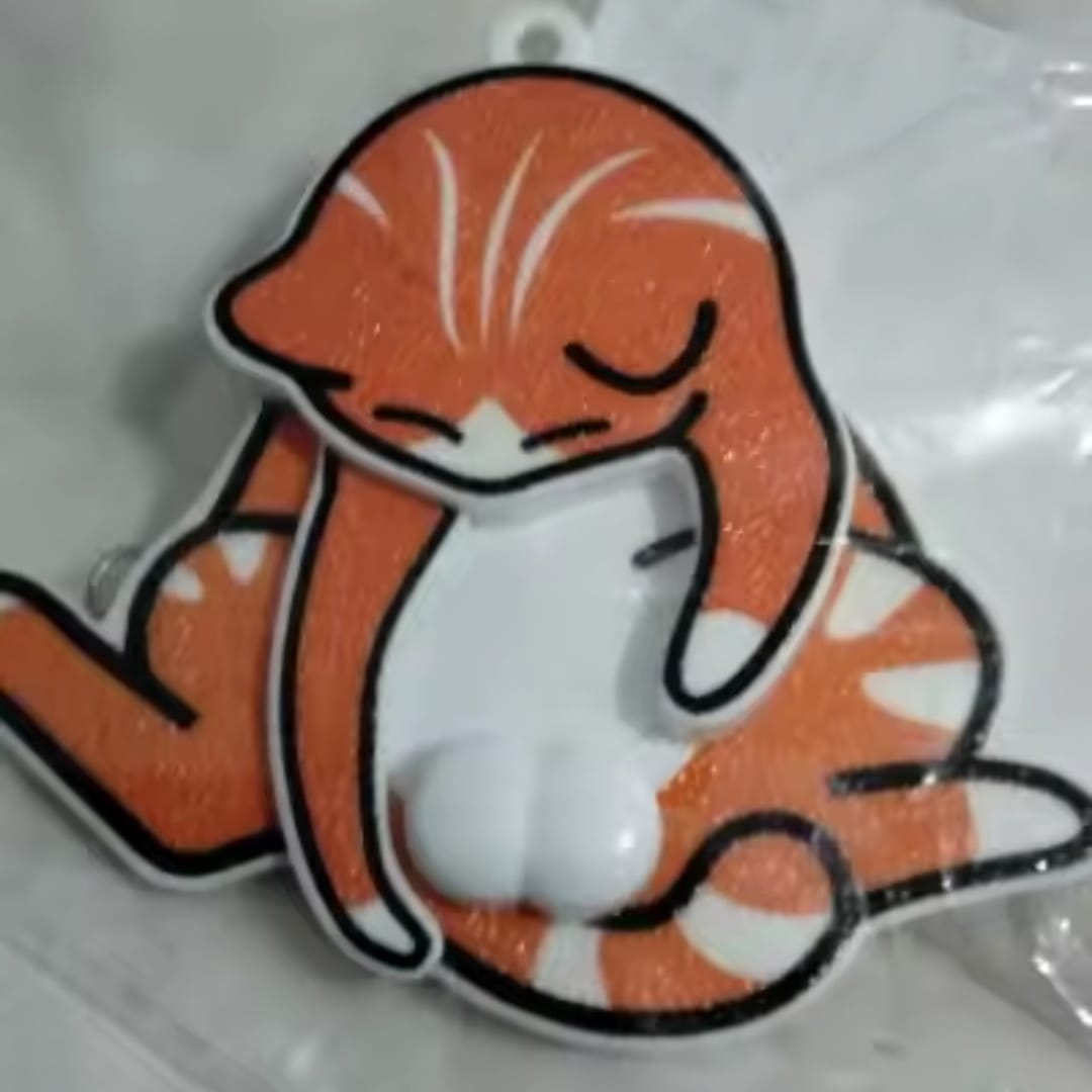 Customer photo review of Mischief Cat - Interactuve Cat Keychain