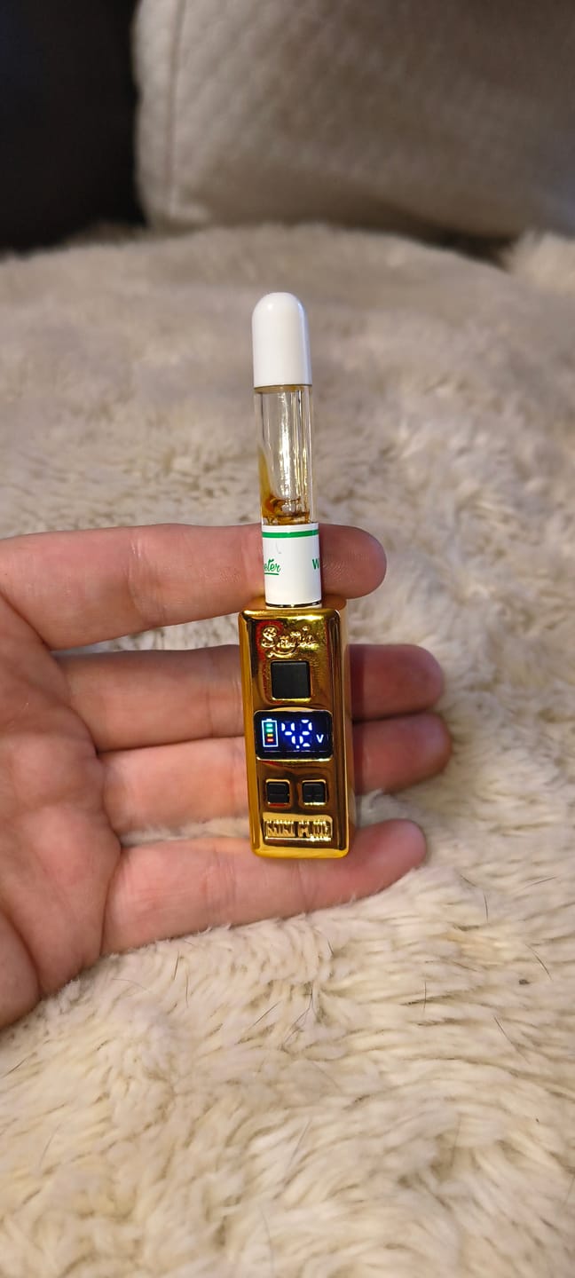 Customer photo review of Mini Plug 510 Cart Battery with Built-in USB-C Cable, Adjustable Voltage, LED Display