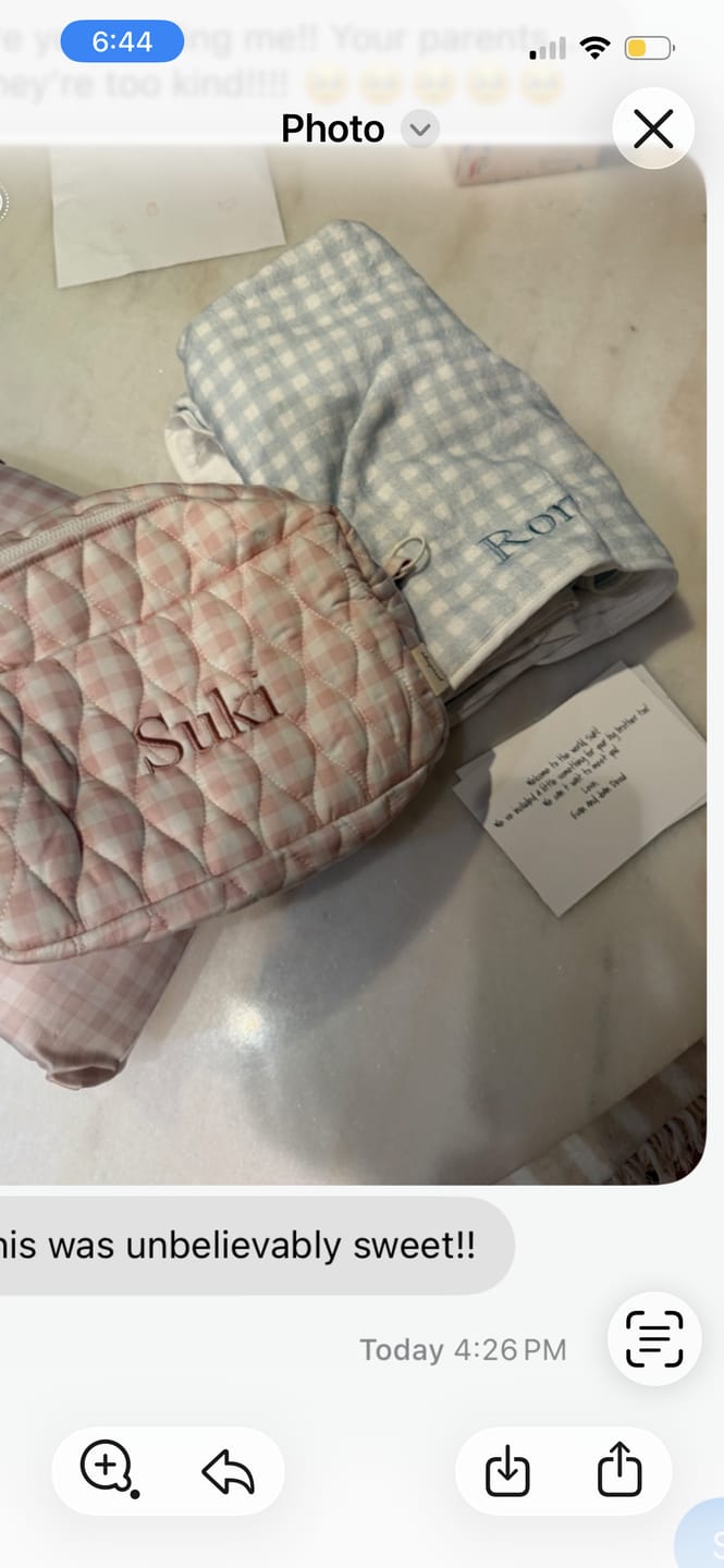 Customer photo review of Toiletry Pouch - Pink Gingham