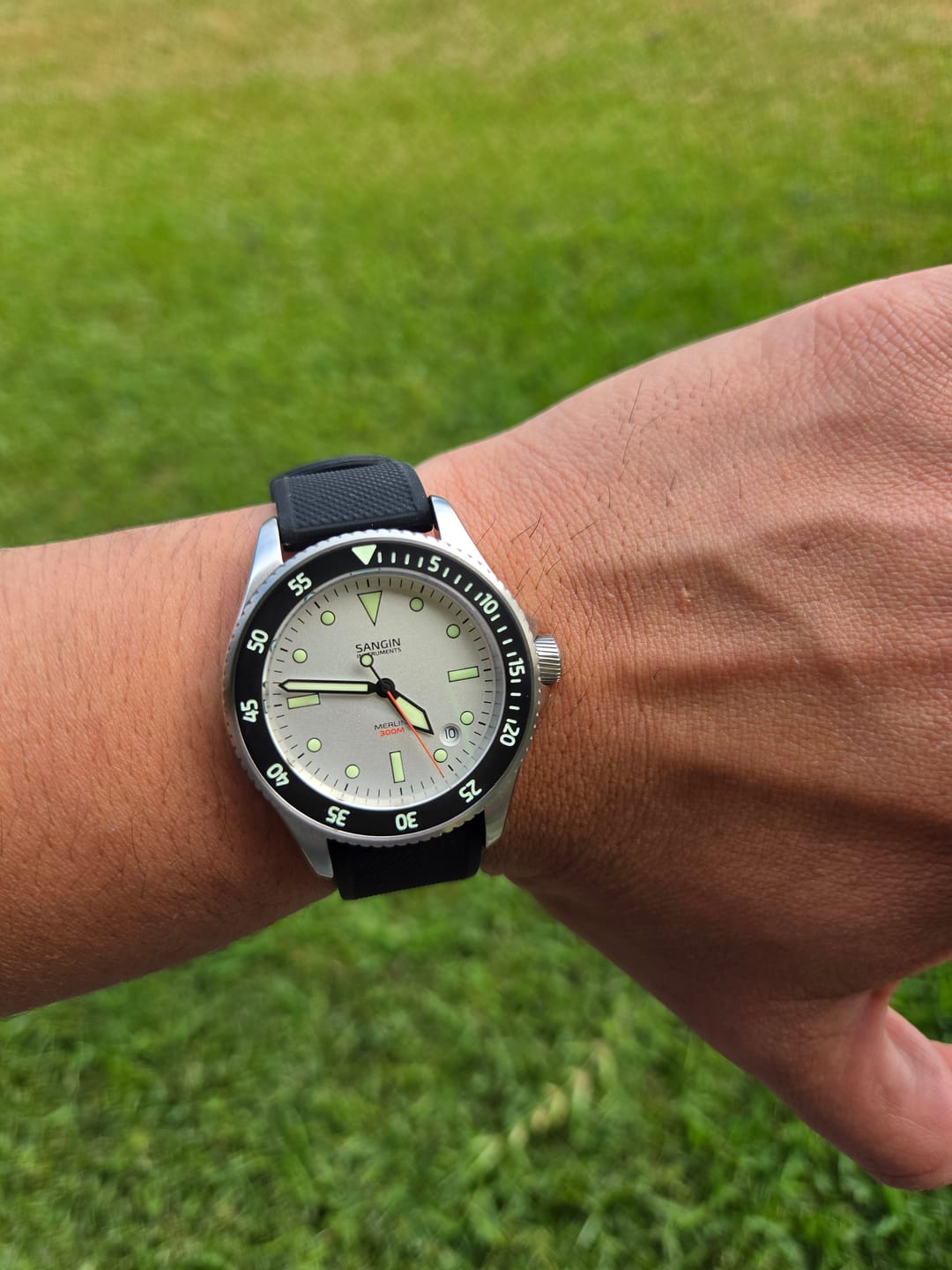 Customer photo review of Merlin (Private Release)