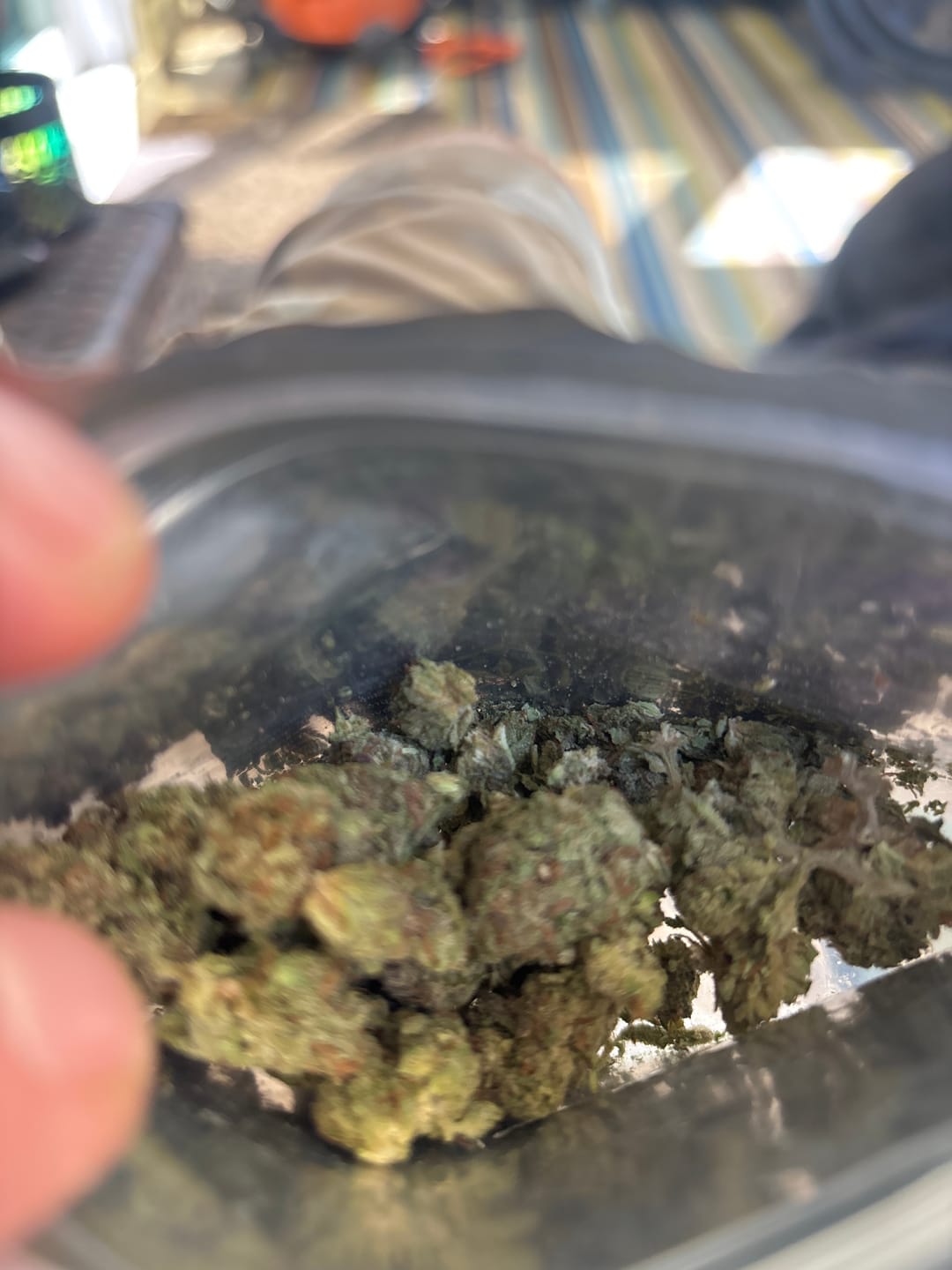 Customer photo review of Kinglato THCA Flower