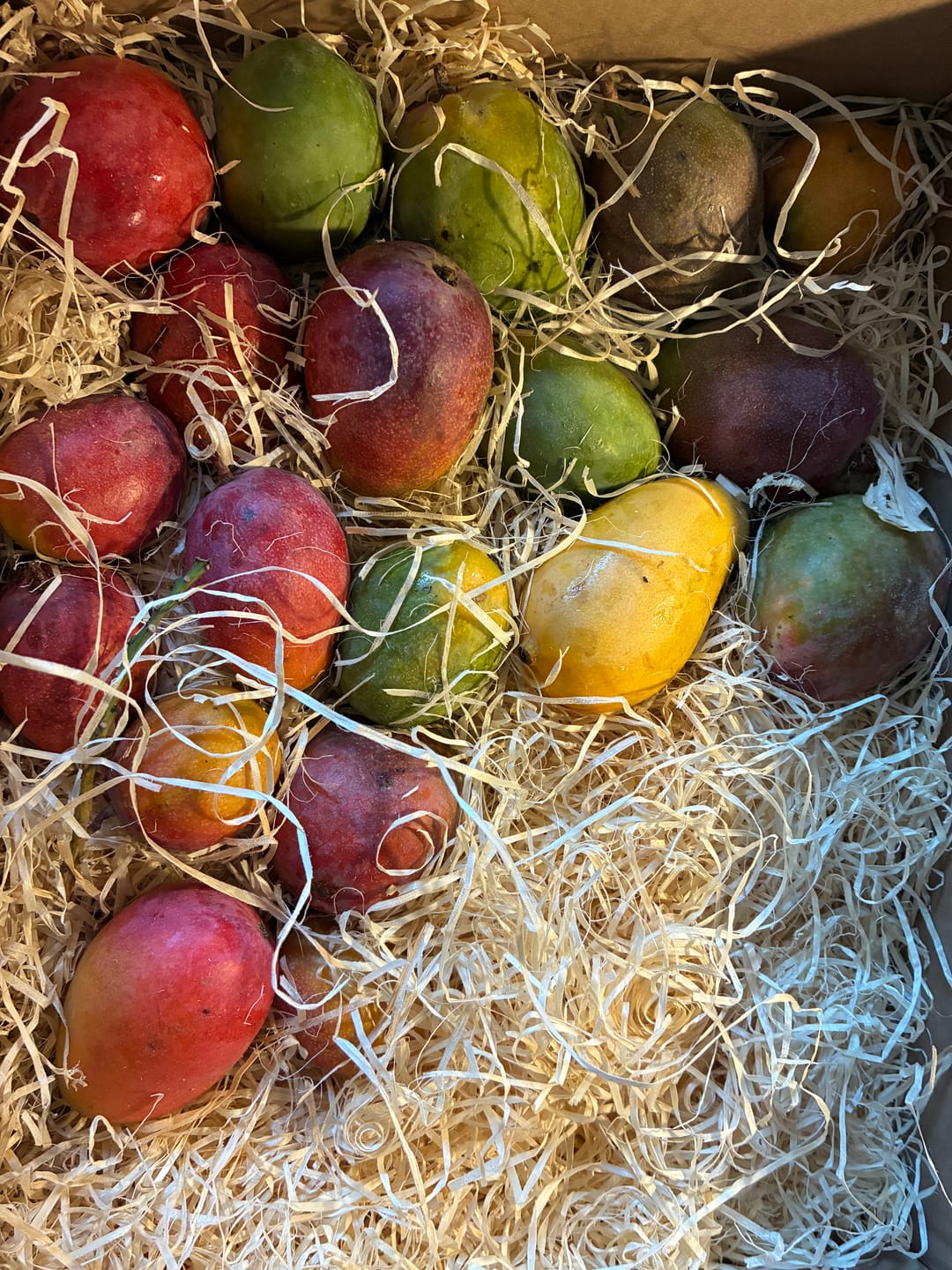 Customer photo review of Mini-Mango von Juan 3kg Retterbox %