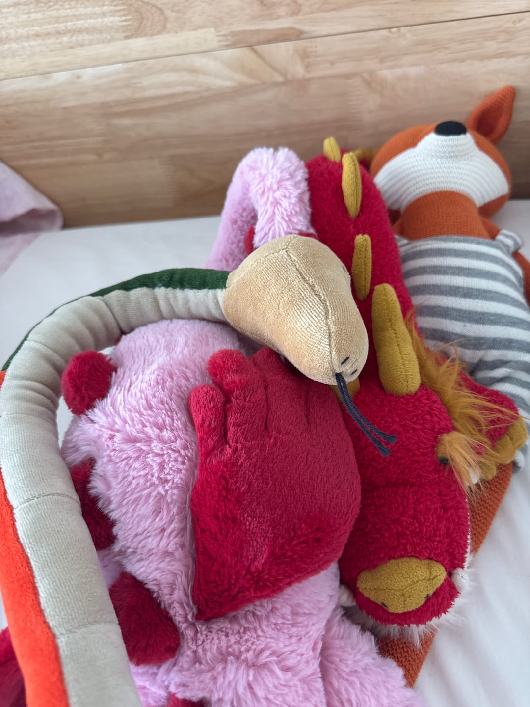 Customer photo review of ZIGGY THE SNAKE - M