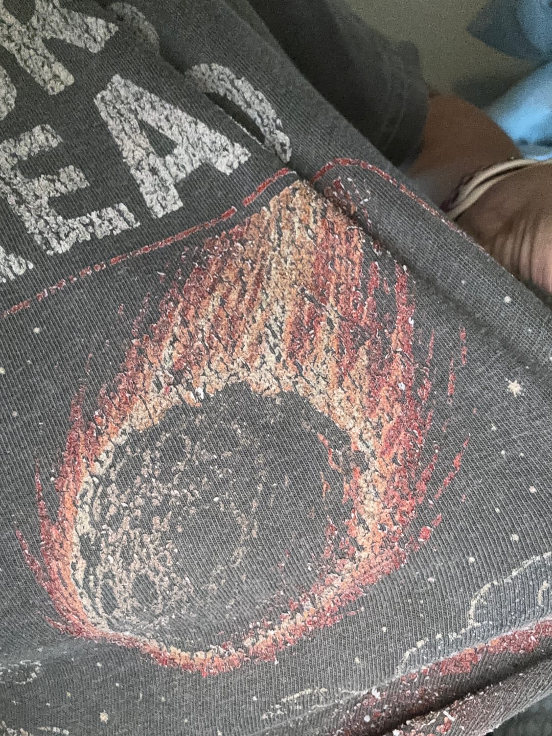 Customer photo review of Dinosaurs Didn't Read Comfort Colors Shirt | Funny Book Lover Gift