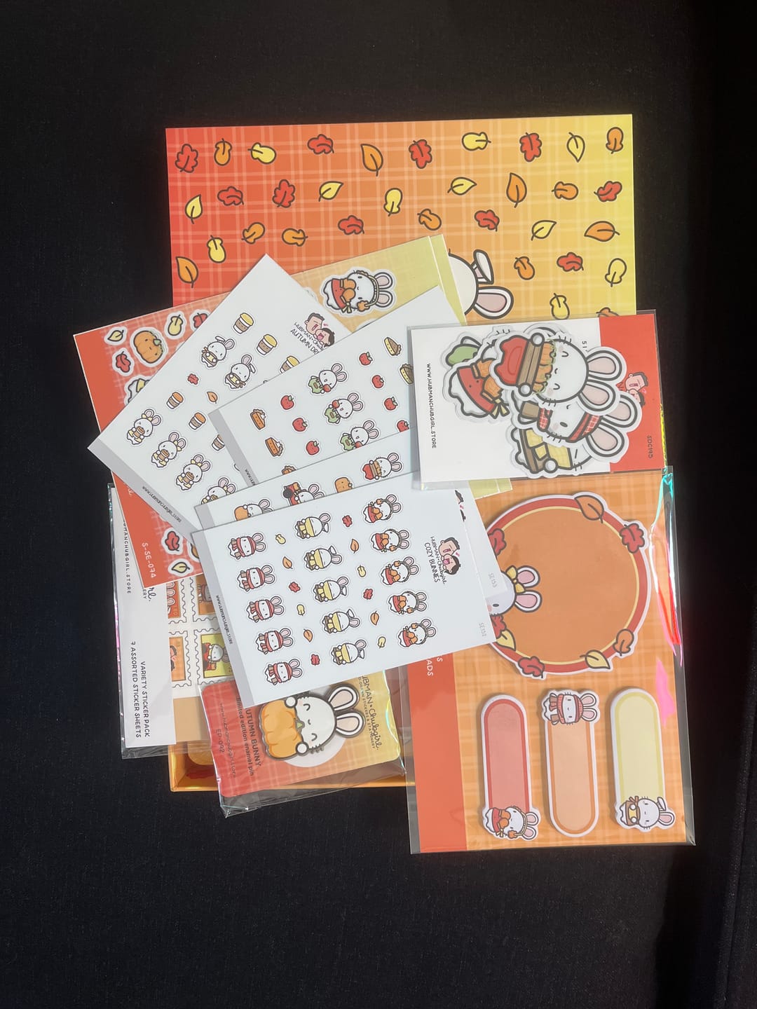 Customer photo review of Autumn Bunnies Box Set