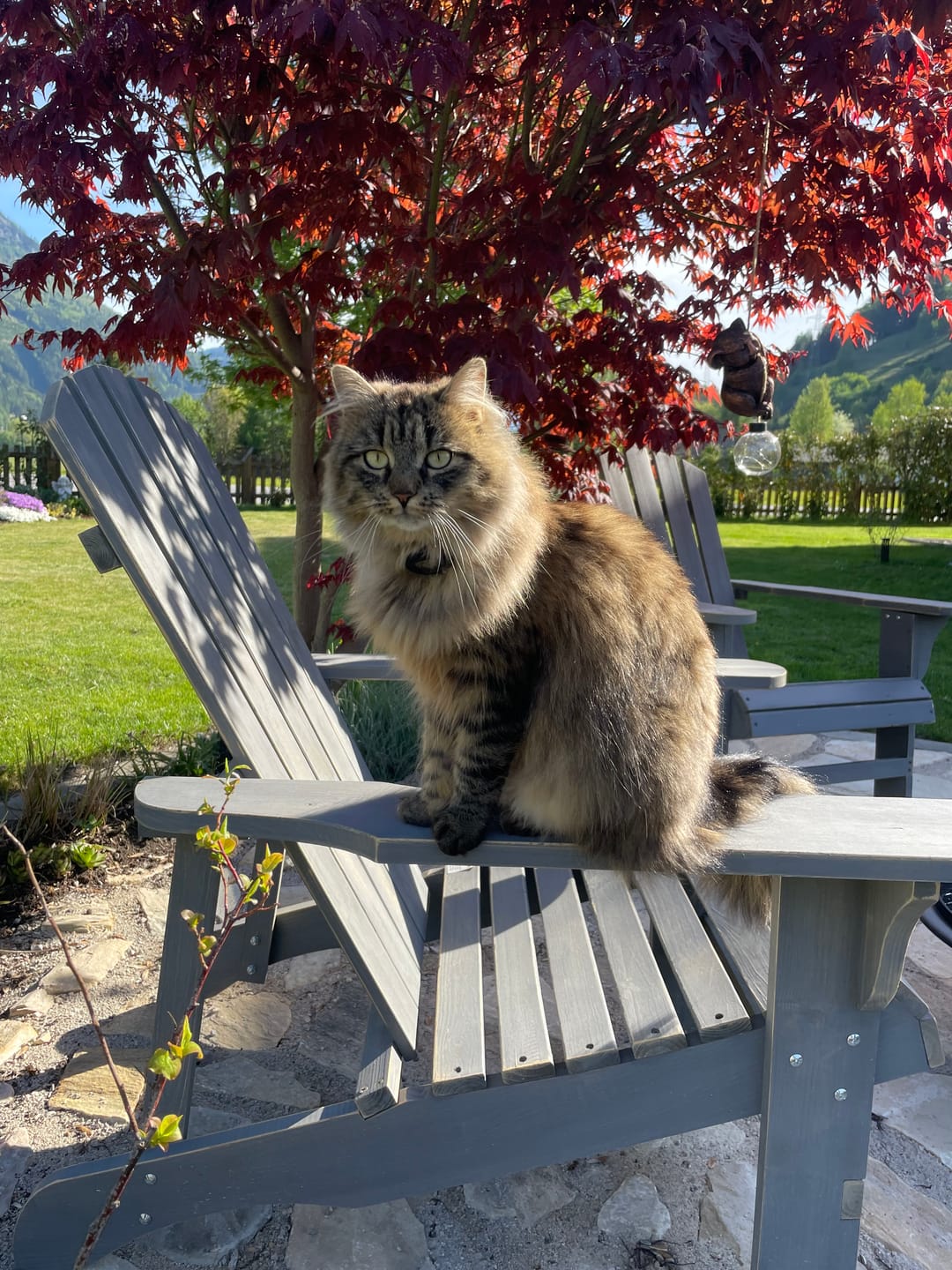 Customer photo review of Wenn du mich vermisst - Paar-Kissen