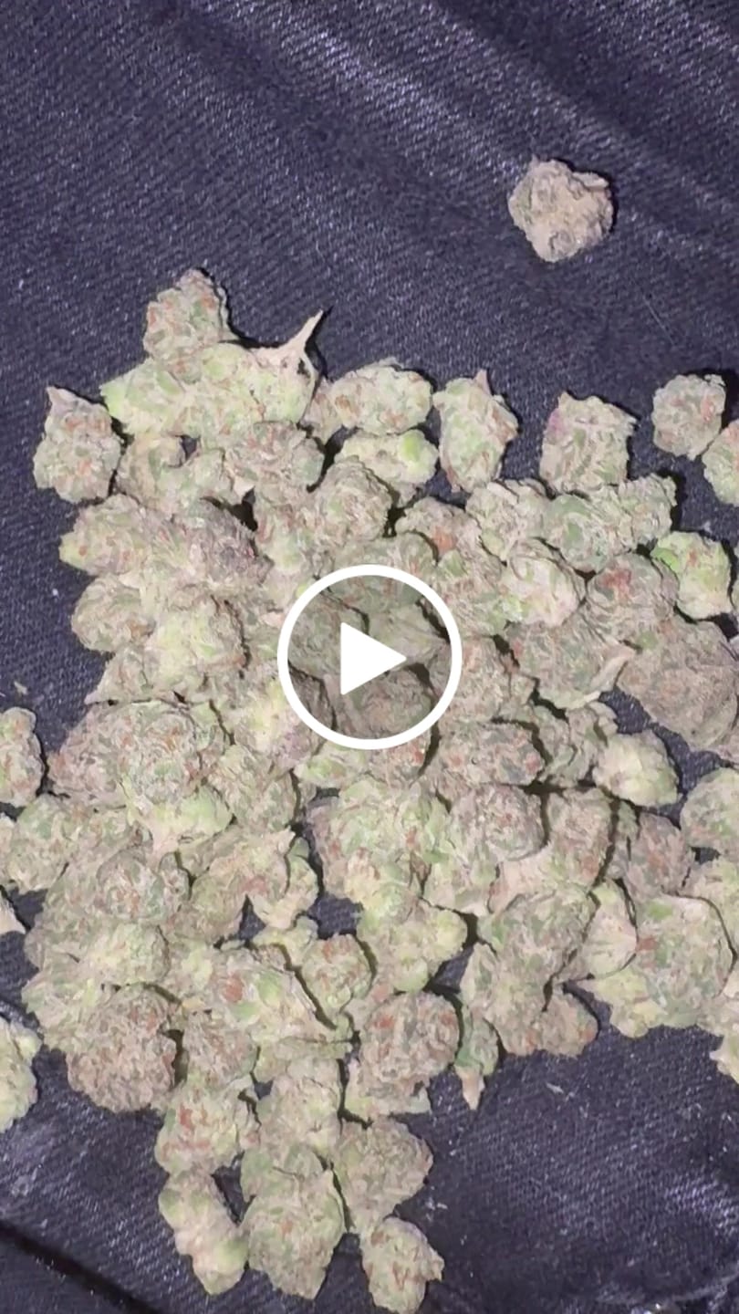 Customer video review of Blueberry Skittlez (Indoor Smalls) - THCA Flower