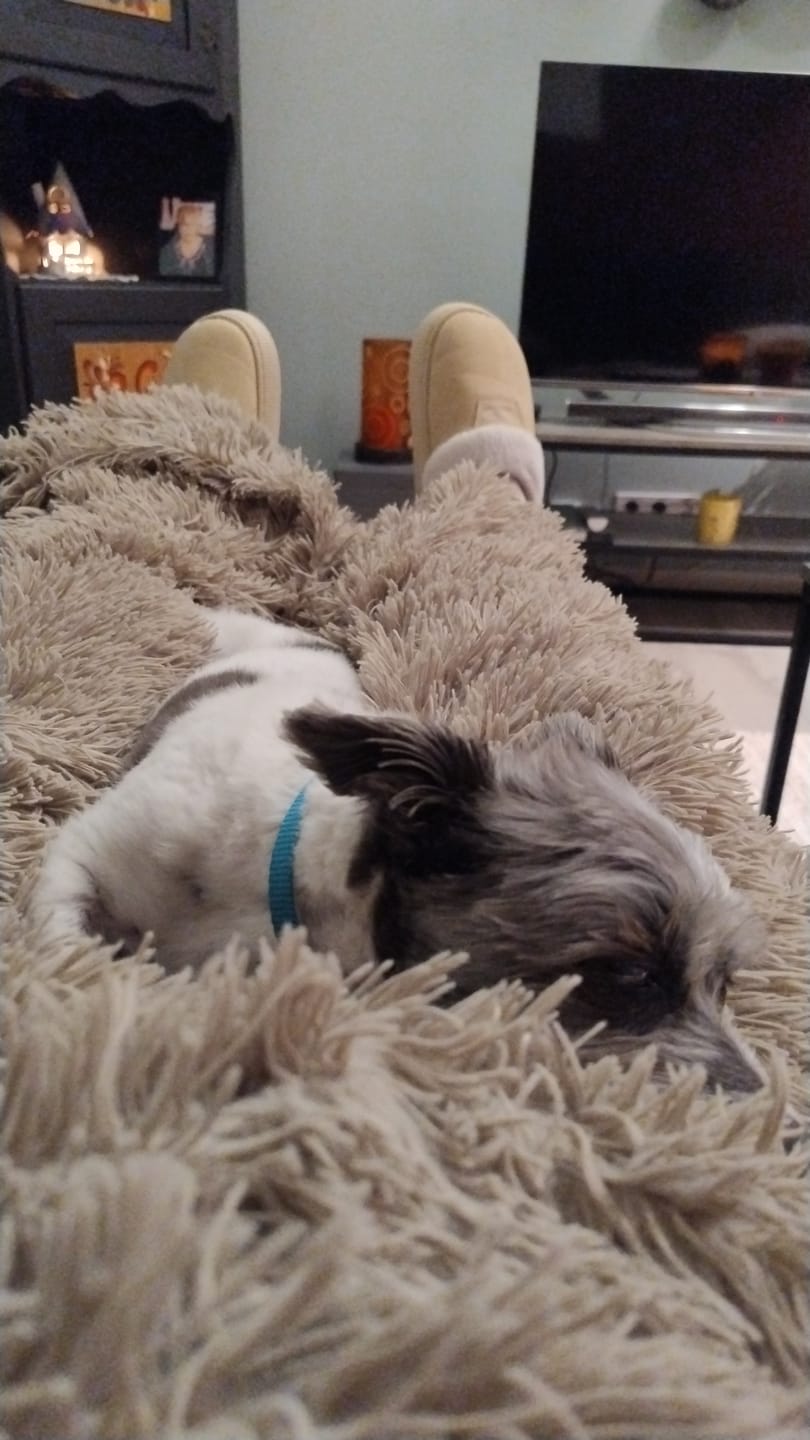 Customer photo review of HappyComfy