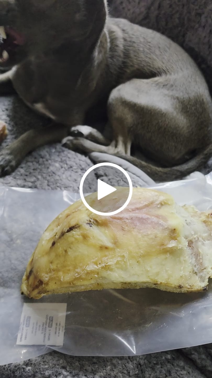 Customer video review of Chest Bone (11" x 6"x 3”): The Durable, Flavor-Packed Chew for Light and Moderate Chewers