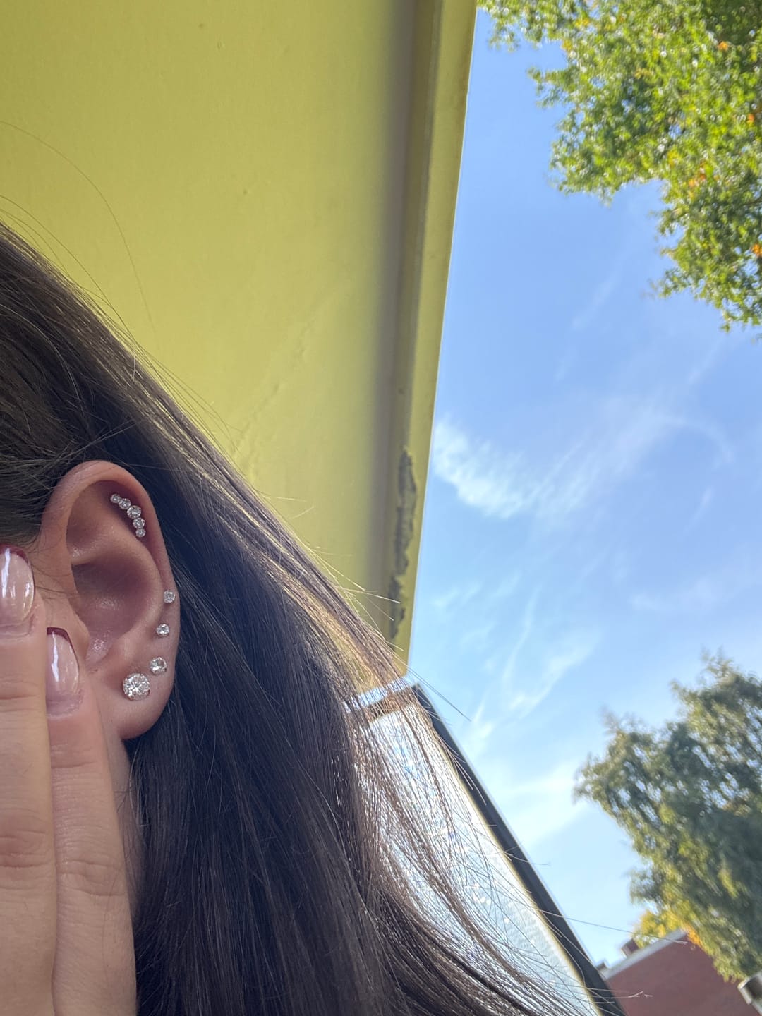 Customer photo review of Line Piercing | Titan