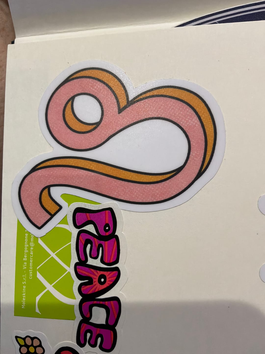 Customer photo review of Leo Lion Sign Zodiac Sticker