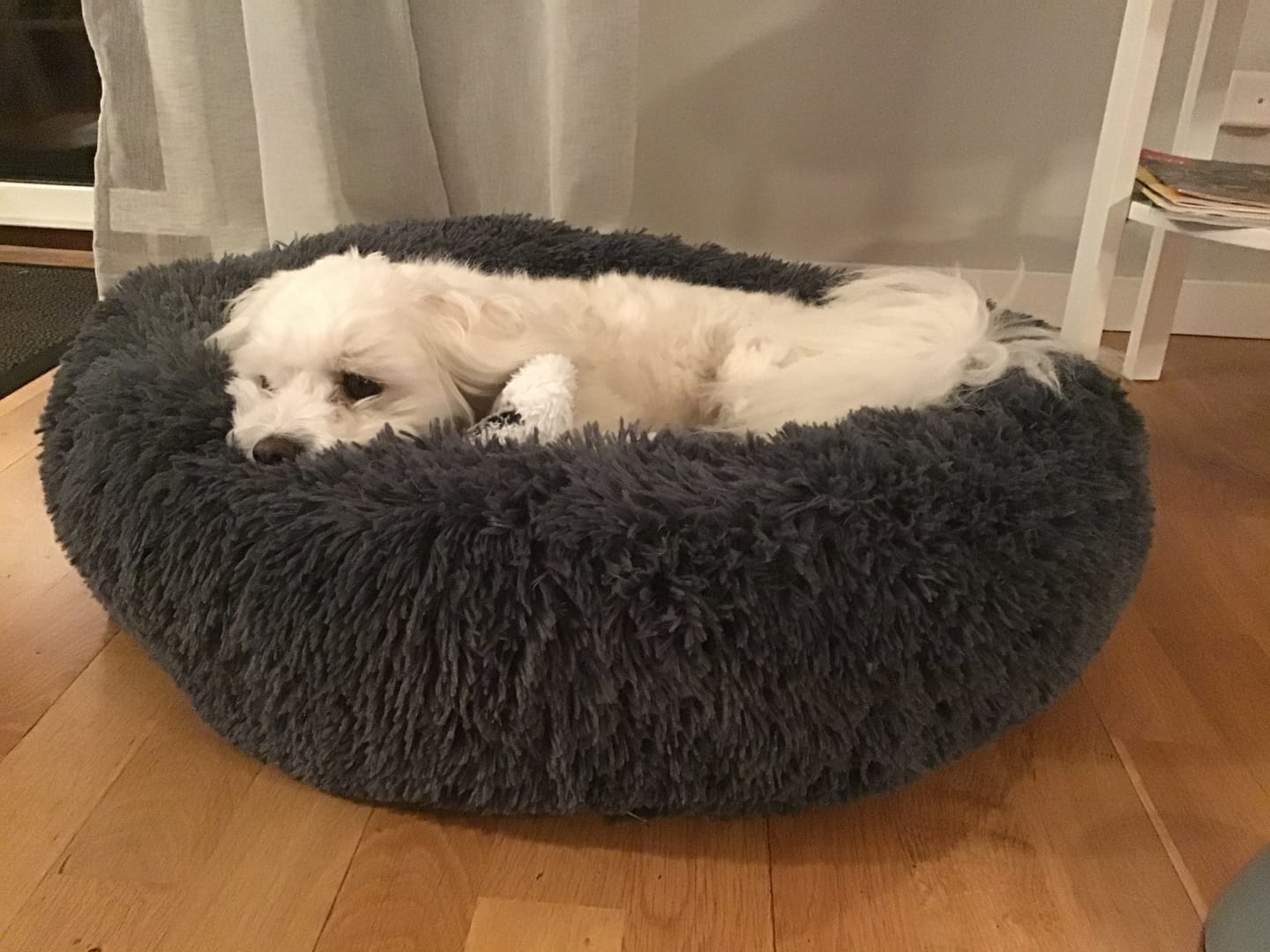Customer photo review of CalmBed - Motverkar stress & hjälper mot ångest