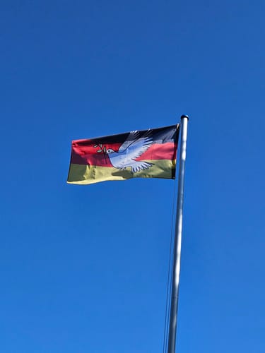 Customer's Deutschland Will Frieden flag with a white peace dove flying high on a flagpole against a blue sky.