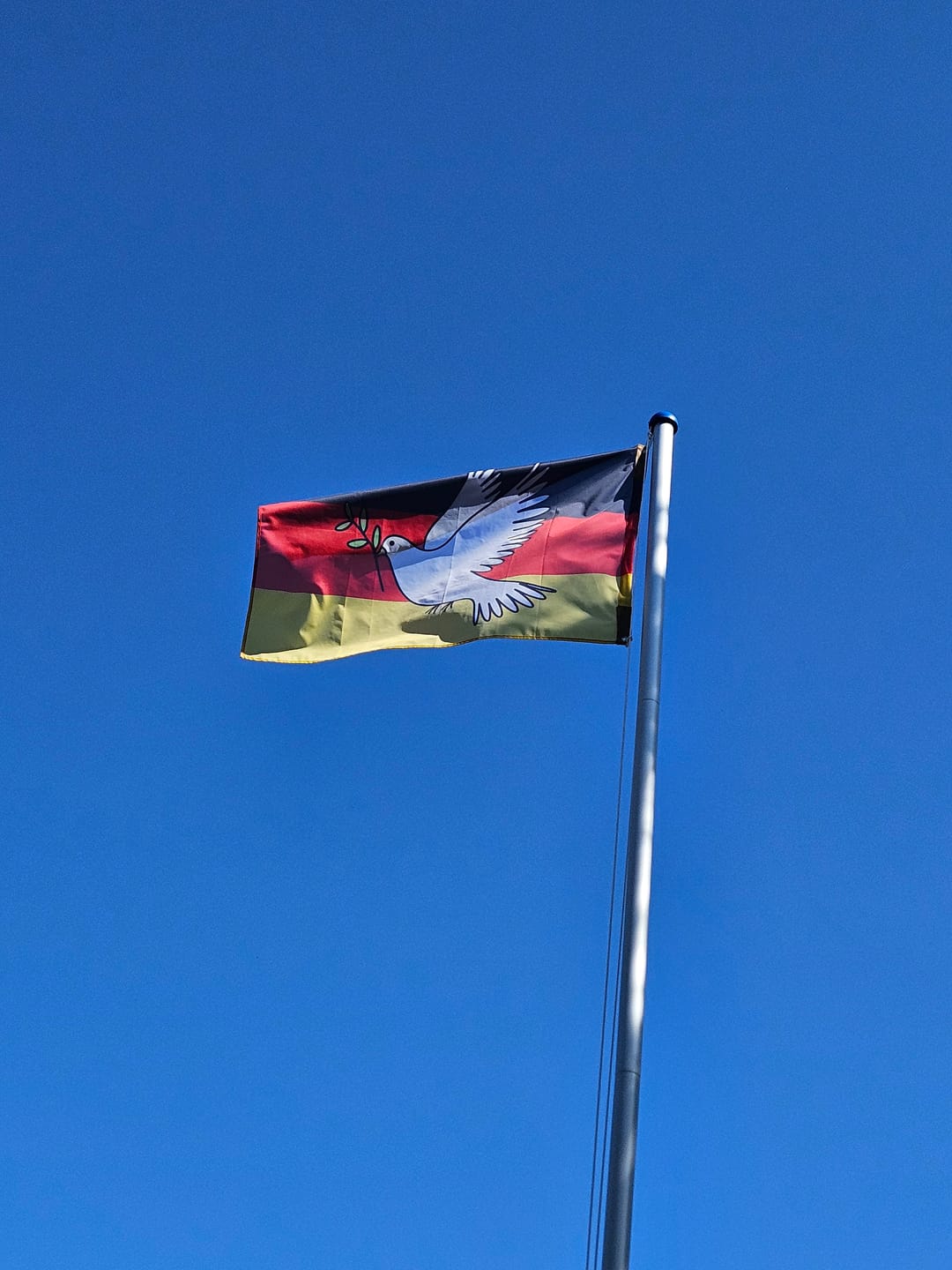 Customer photo review of FLAGGE / SCHWENKFAHNE • DEUTSCHLAND WILL FRIEDEN