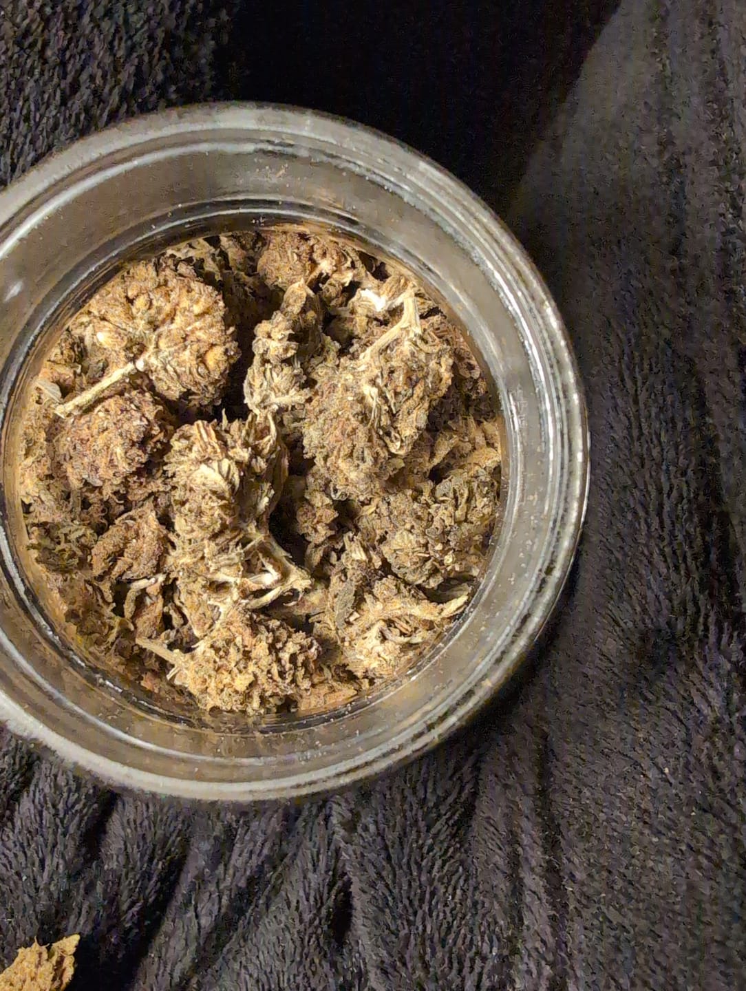 Customer photo review of Cheap THCA Flower Quarter Pound