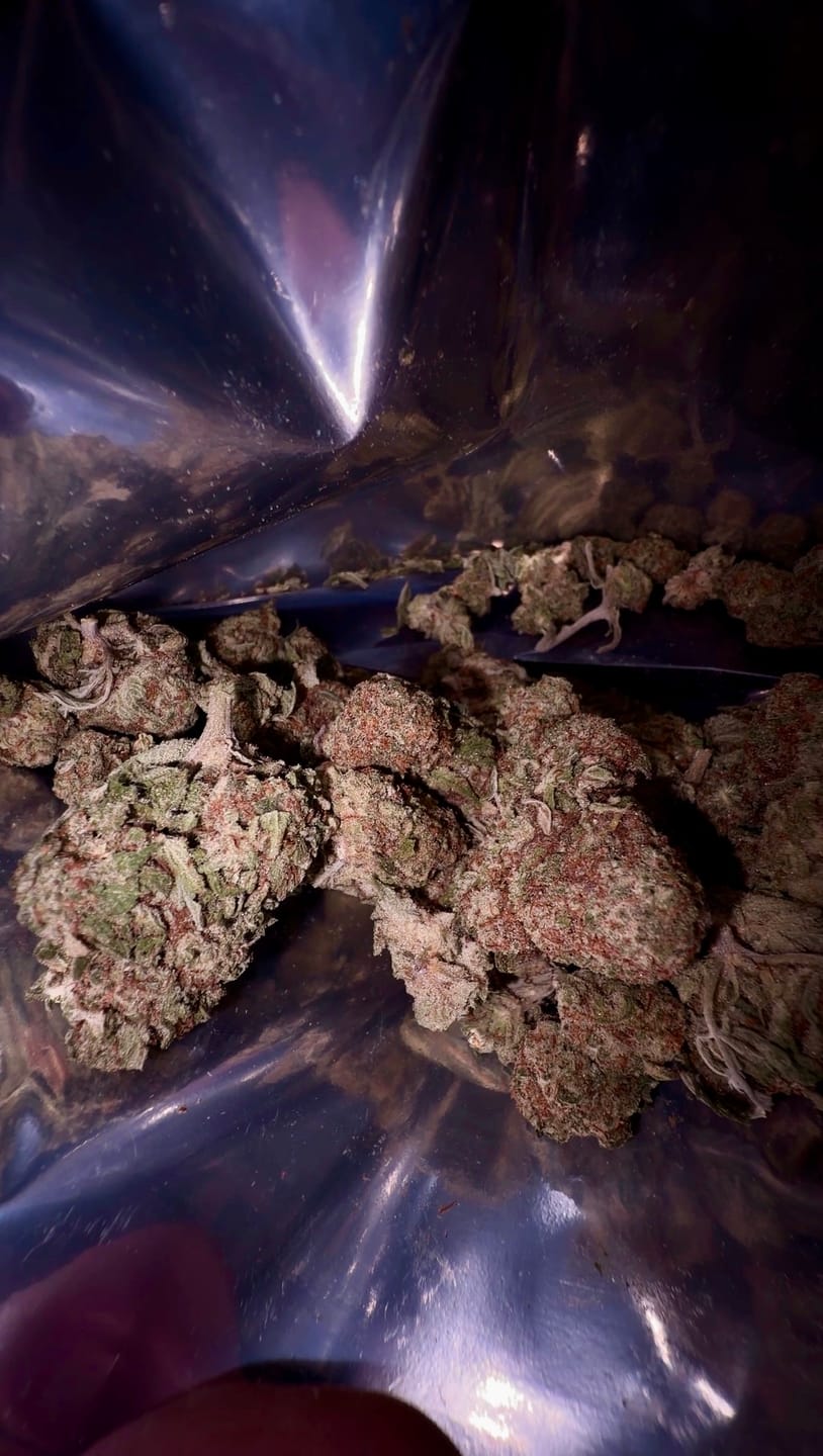 Customer photo review of Acapulco Punch THCA Flower