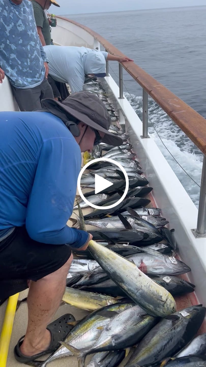 Customer video review of Braided Fishing Line - 300 Yards - No Fade, Pro Grade Performance for Saltwater & Freshwater- Beyond Braid