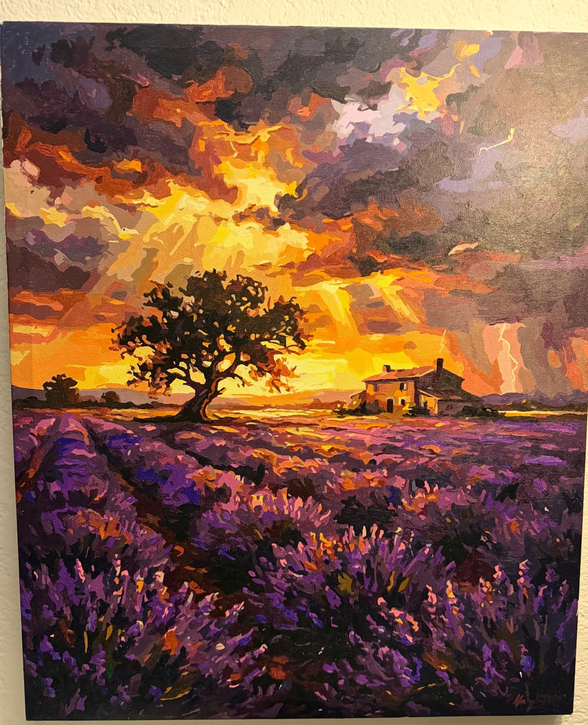 Customer photo review of Lavender Field Storm Sky (80 Color Paint by Numbers)