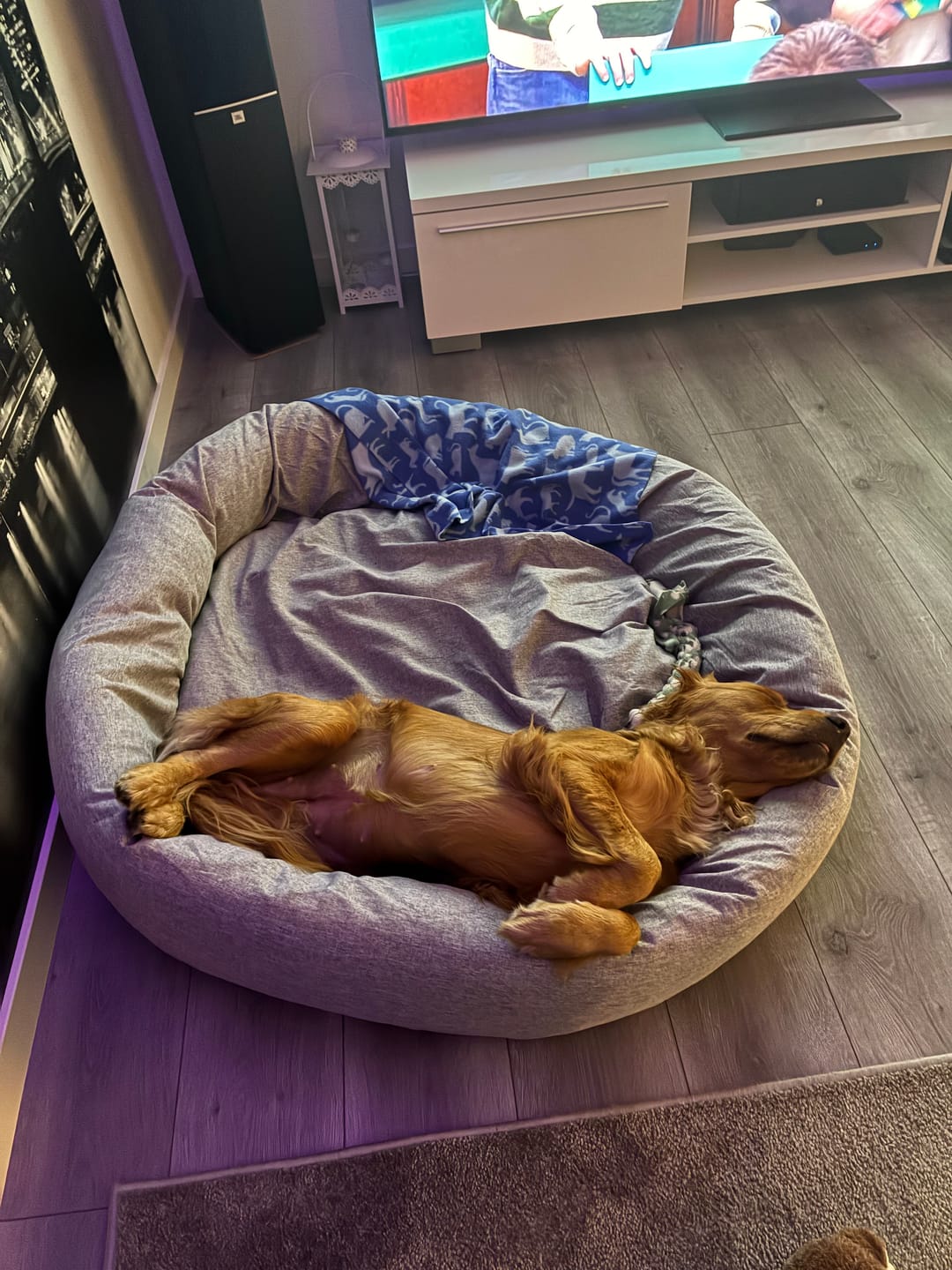 Customer photo review of CalmBed överdrag