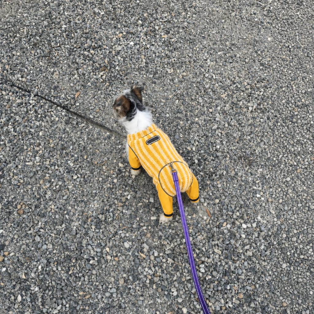 Customer photo review of WUFFEY™ Pet Winter Suit