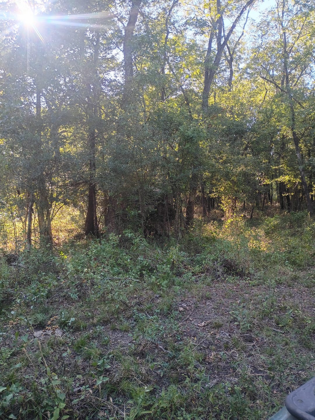 Customer photo review of VisTall 360 See-Through Ground Blind | 75-Inch 3 Person Pop Up Deer Blind with No-Trip Door | Portable Camo Hunting Blind with Blackout Curtain for Whitetail Deer Hunting