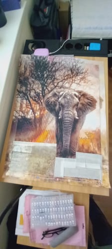 Customer photo review of 5D Diamond Painting – Afrikanischer Elefant