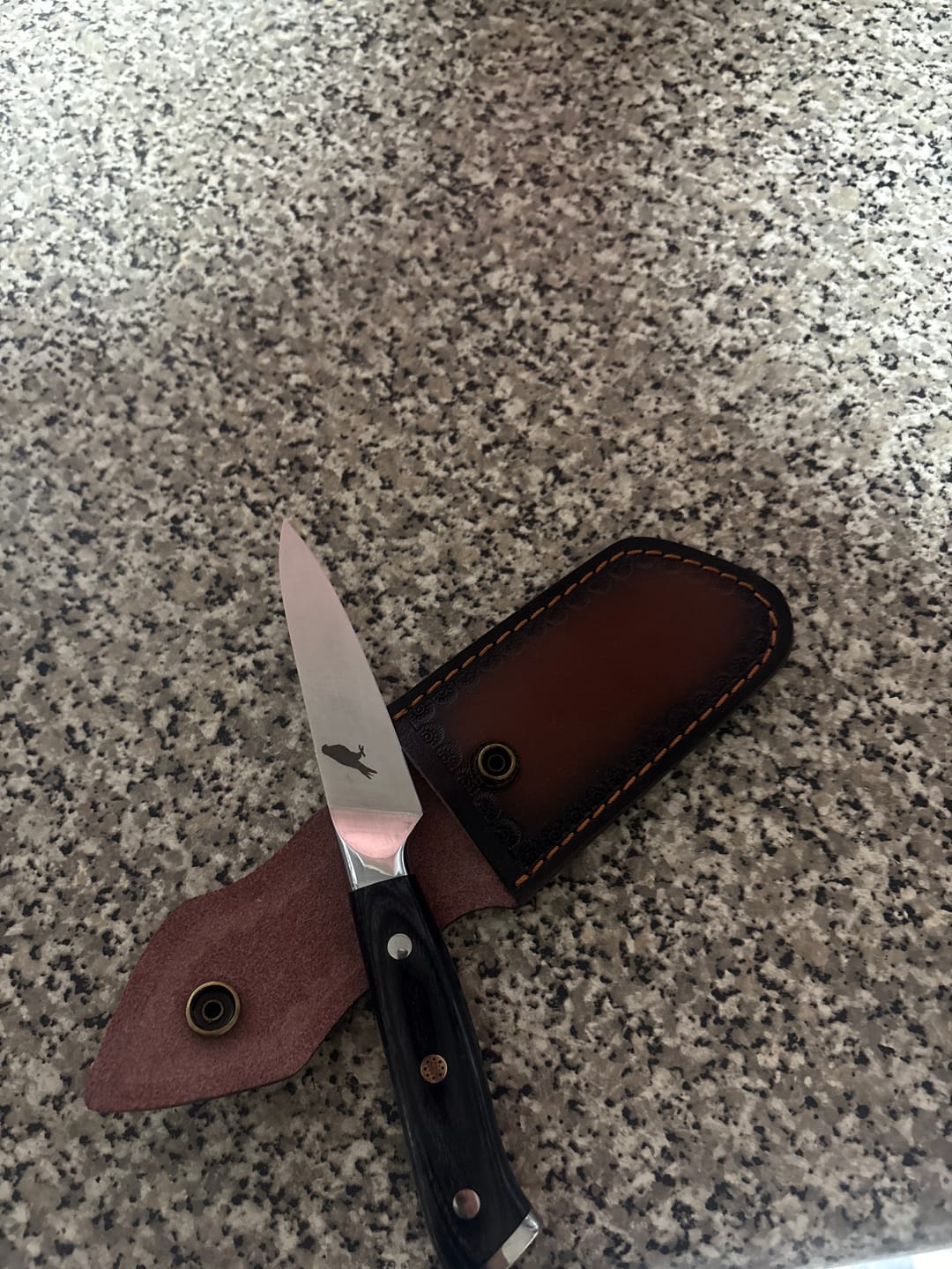 Customer photo review of Cuchillo Puntilla de Acero Inoxidable 20cm "Tolhuaca"