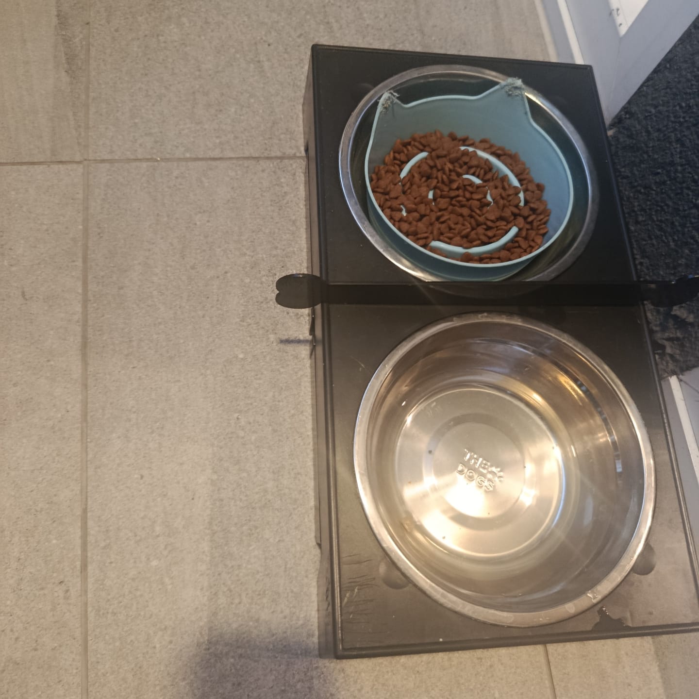 Customer photo review of Comedero Elevado THE DOGS Postura correcta en cada comida