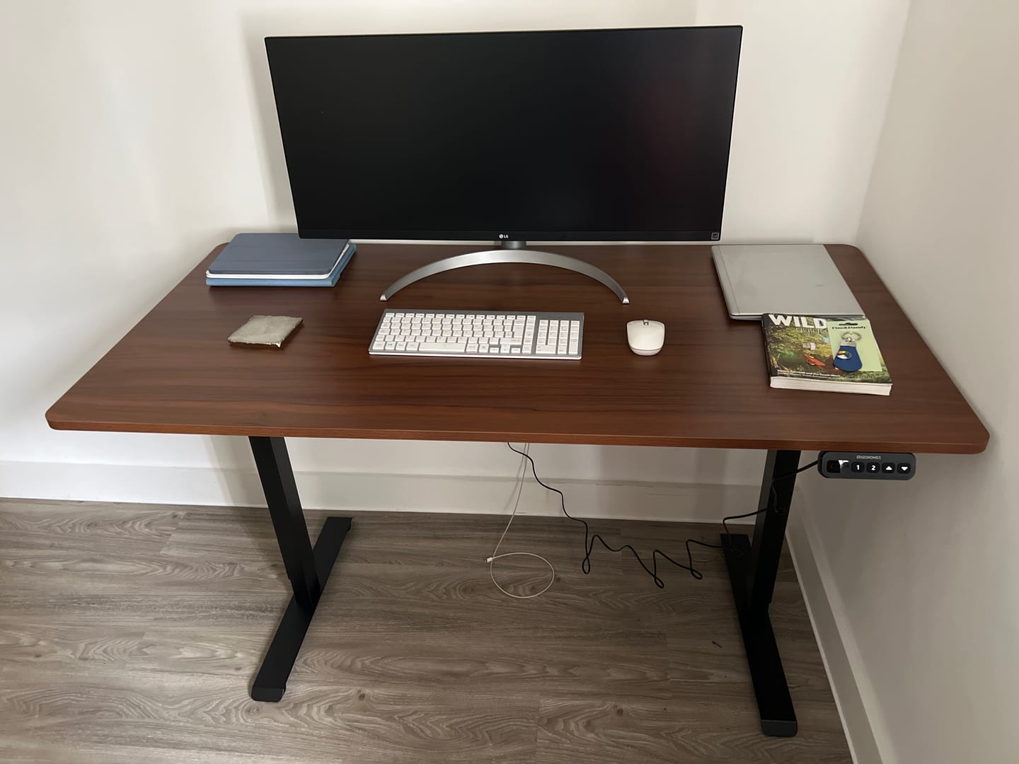 Customer photo review of Sit/Stand Height Adjustable Desk