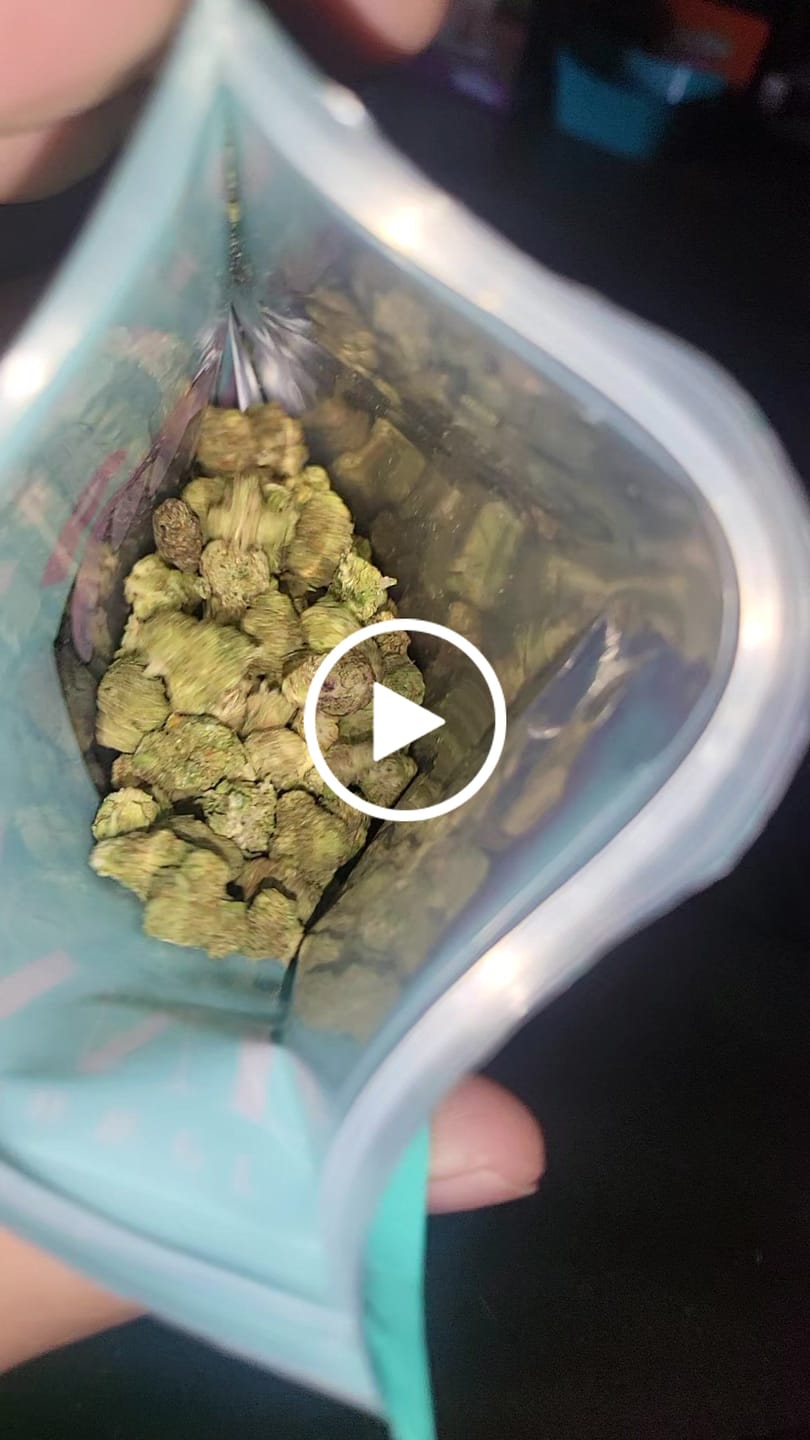 Customer video review of Red Velvet (Indoor Smalls) - THCA Flower