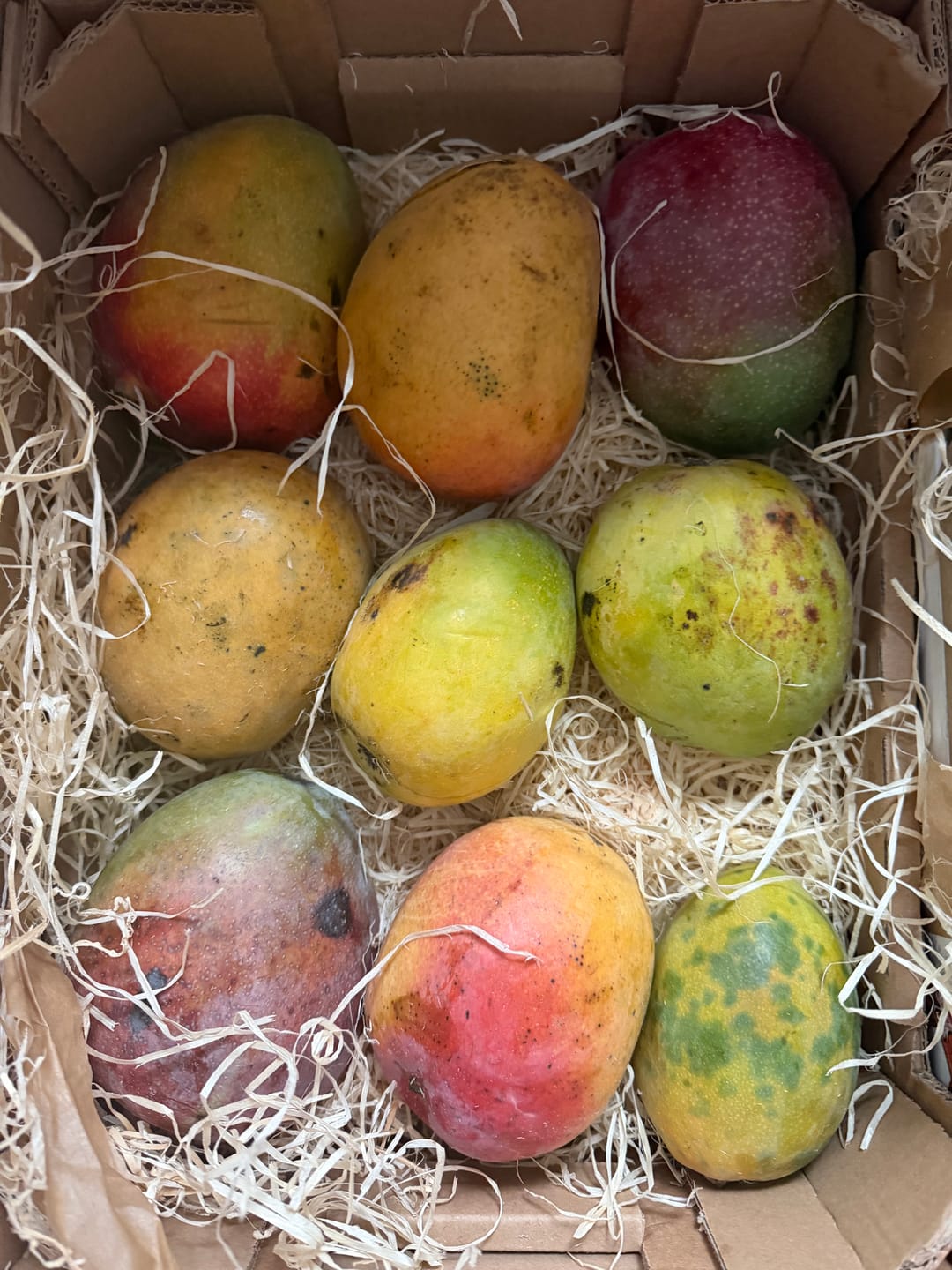 Customer photo review of Ugly Mangobox