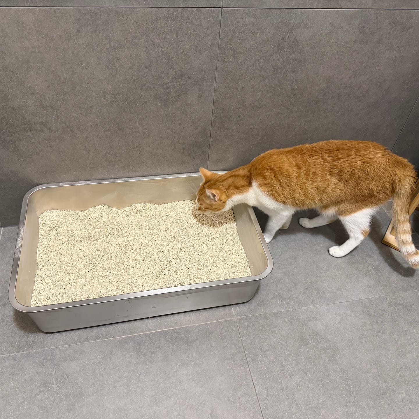 Customer photo review of Katzenklo Schaufel