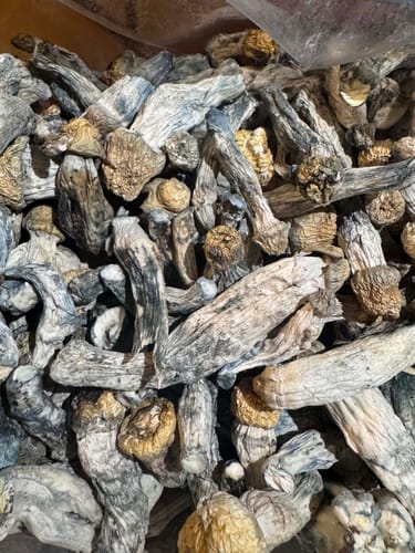 Customer photo review of Non Detect Raw Mushrooms