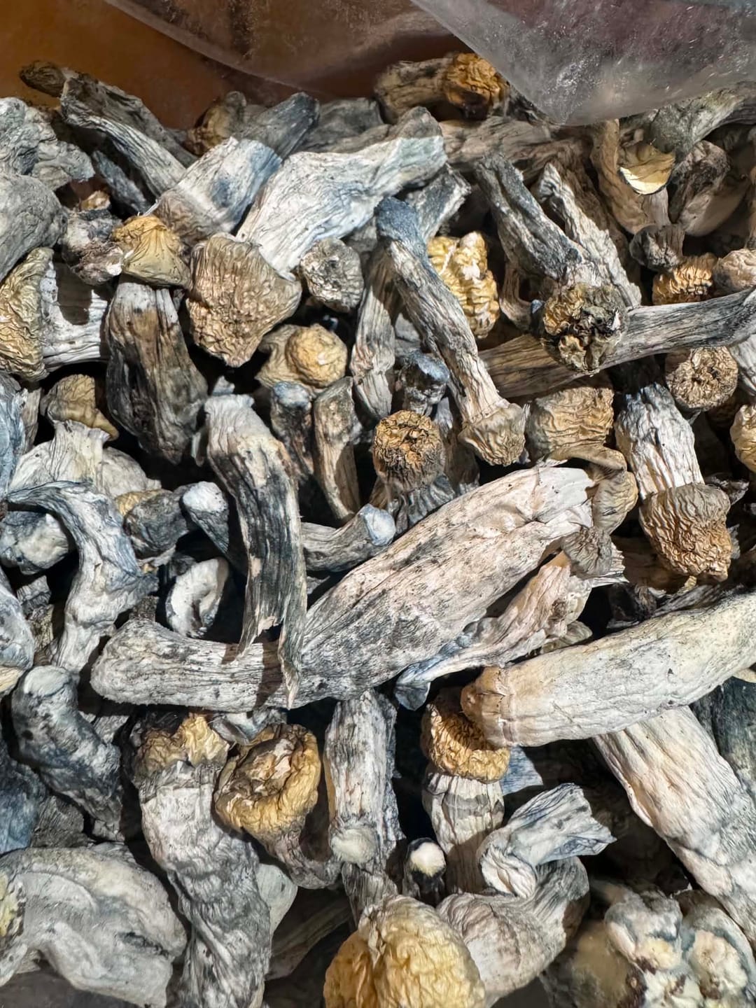 Customer photo review of Non Detect Raw Mushrooms