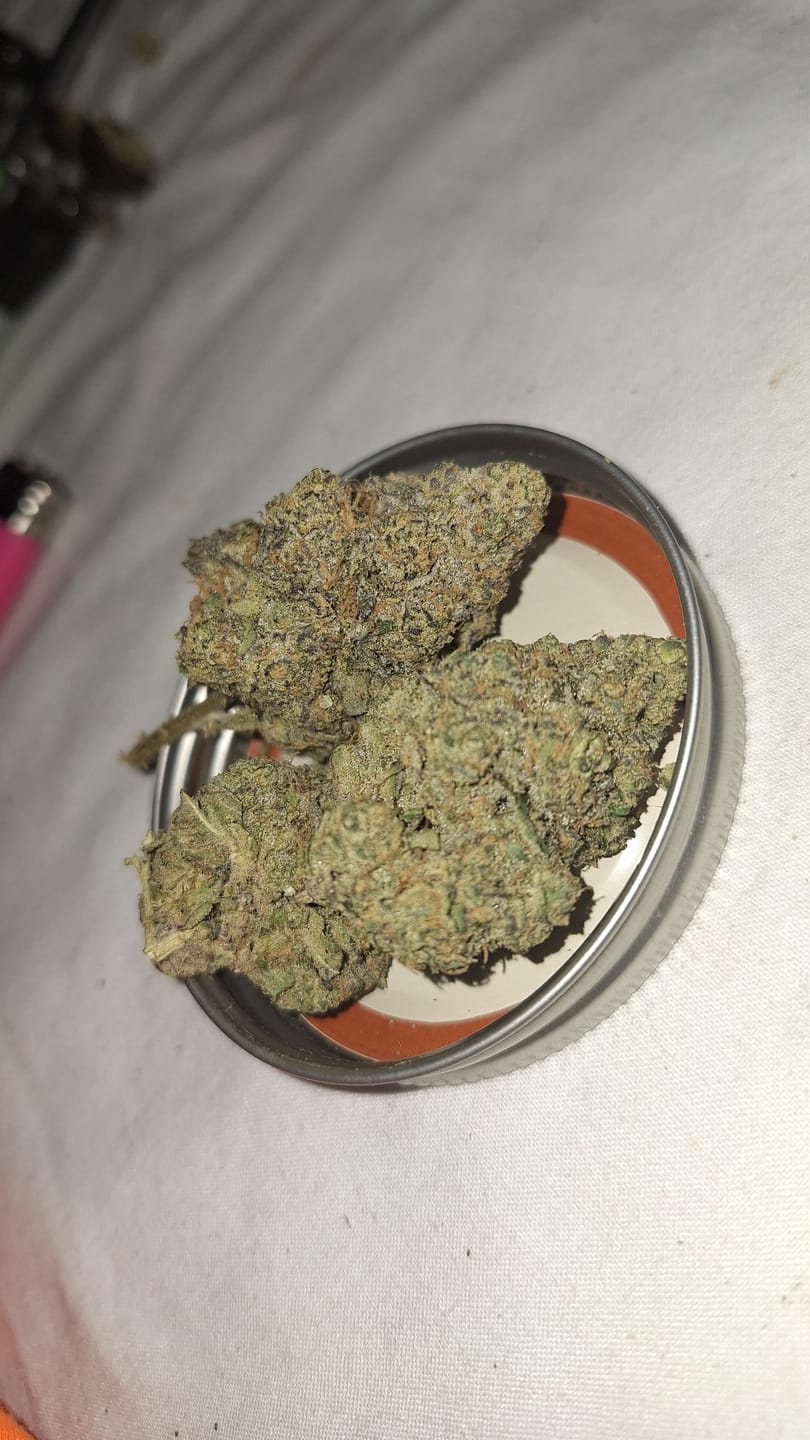 Customer photo review of Biscotti THCA Flower (Premium)