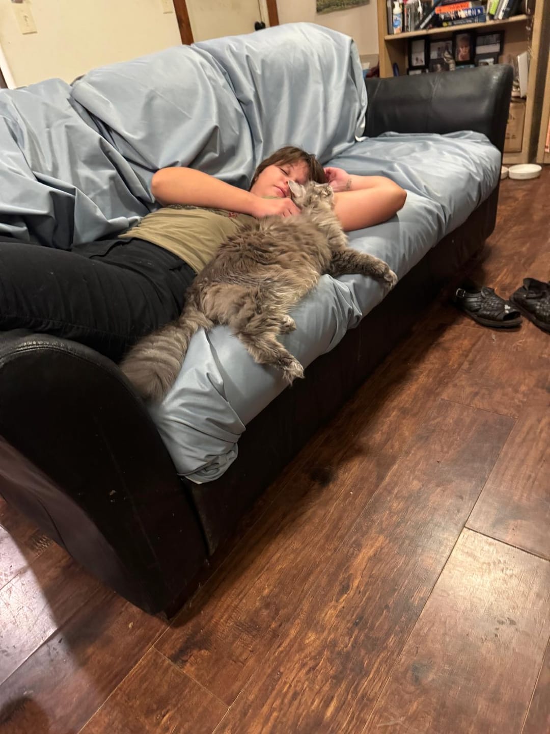 Customer photo review of Extra-Large Thin Waterproof Bed Cover for Pets & People – Reversible, Washable, Breathable | Silly Legacy®
