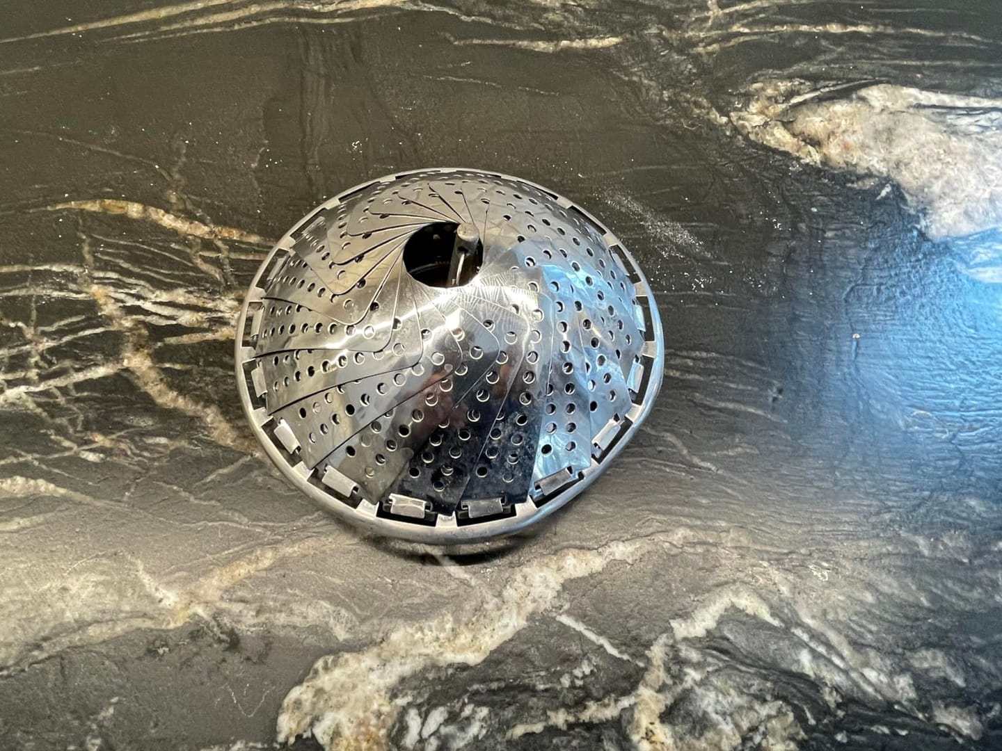 Customer photo review of SteamBloom™ Folding Steamer Basket: Turns Any Pot Into a Steamer
