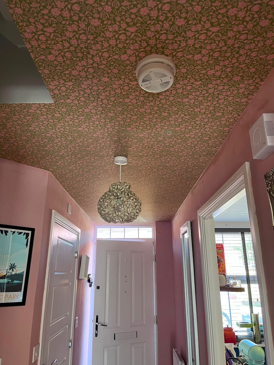Customer photo review of Lottie