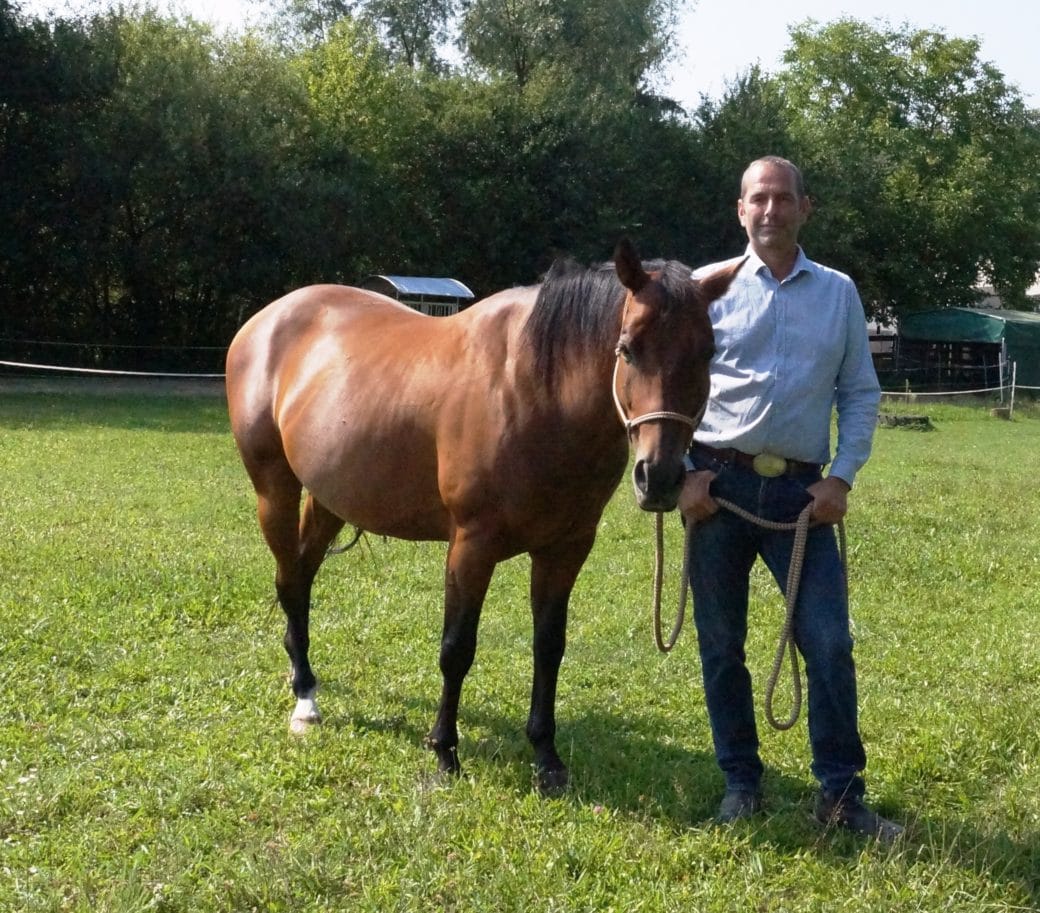 Customer photo review of Gelenk Kräuter für Pferde - Laufspaß
