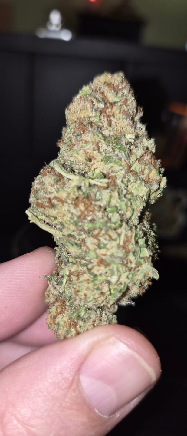 Customer photo review of THCA Queen