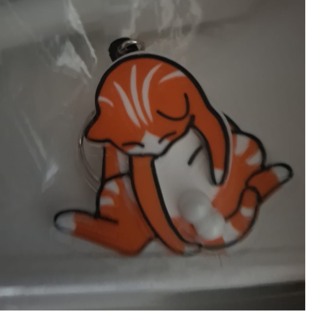 Customer photo review of Mischief Cat - Interactuve Cat Keychain