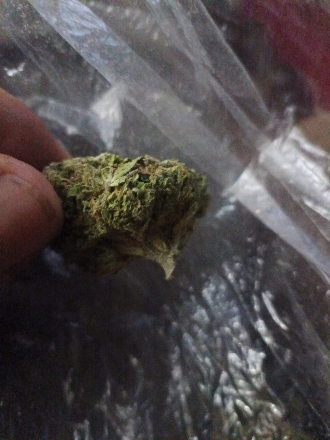 Customer photo review of Godfather OG - Bulk - Indica