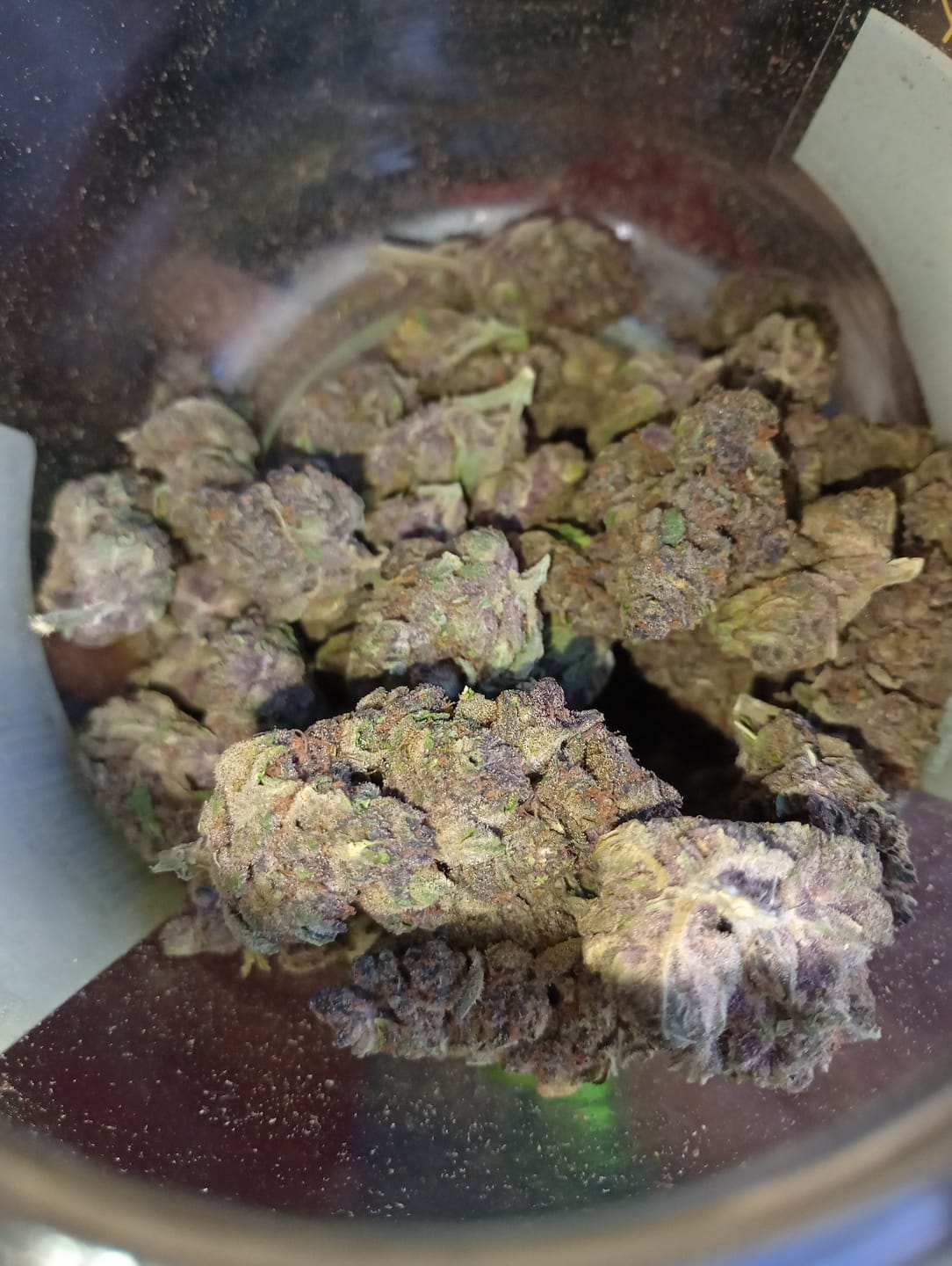 Customer photo review of Tropicana Cherry THCA Flower