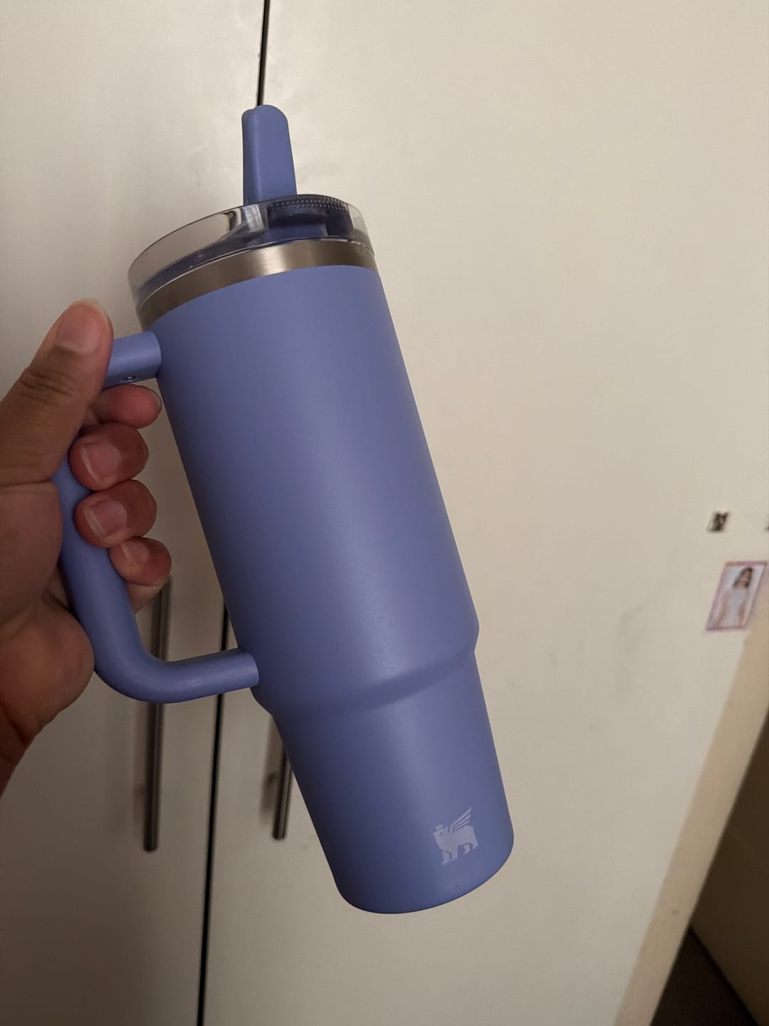 Customer photo review of Quencher Protour Hydrangea | 887 ml