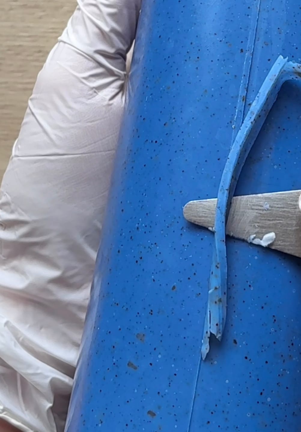 Customer photo review of Natural Blue Indigo Dye - Soap Making and Textile Dye, Indigofera Tinctoria Powder